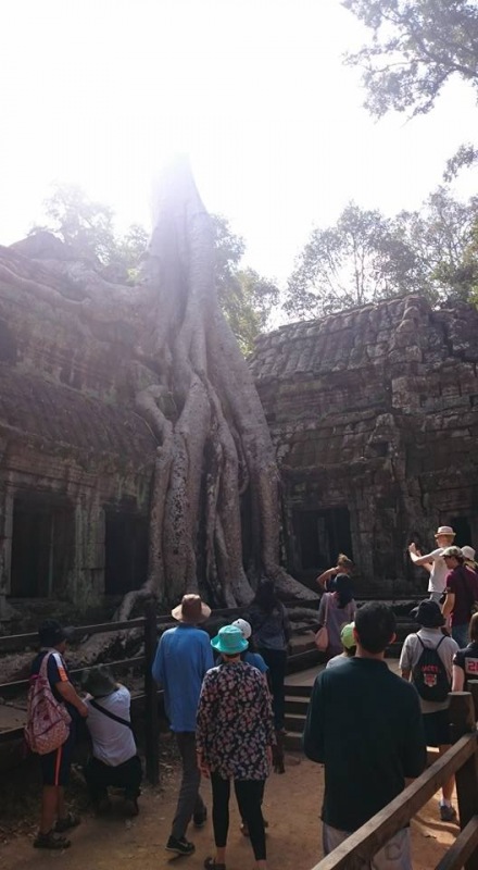 Kambodža12